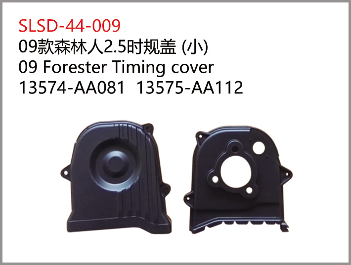 图片09